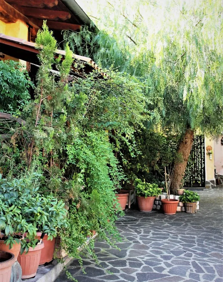 Affittacamere Hotel I Gerani Rossi Roma